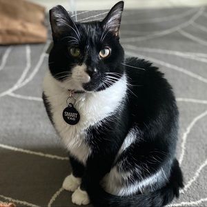 Meet your Posher, Burke